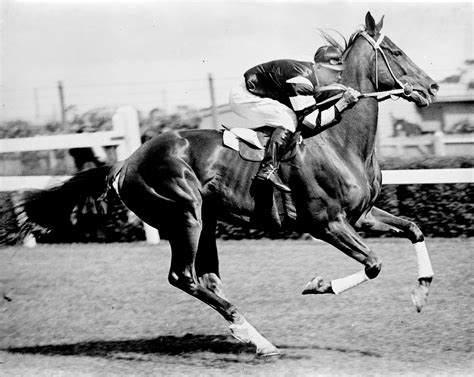 Phar Lap .
